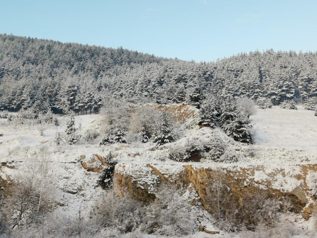 Арт Мезонет Salem Apartment Velingrad Luaran gambar